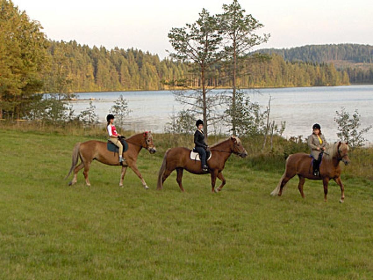 Дома для отпуска Holiday Home Taimisto Juhanala-29